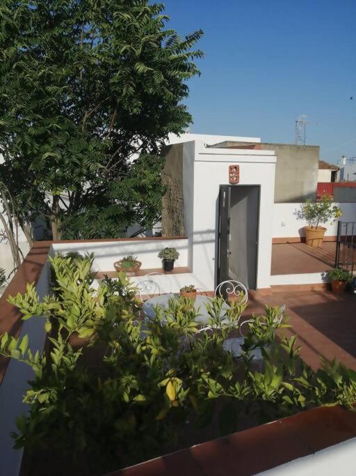 Apartamento El Sosiego Sanlucar de Barrameda Ngoại thất bức ảnh